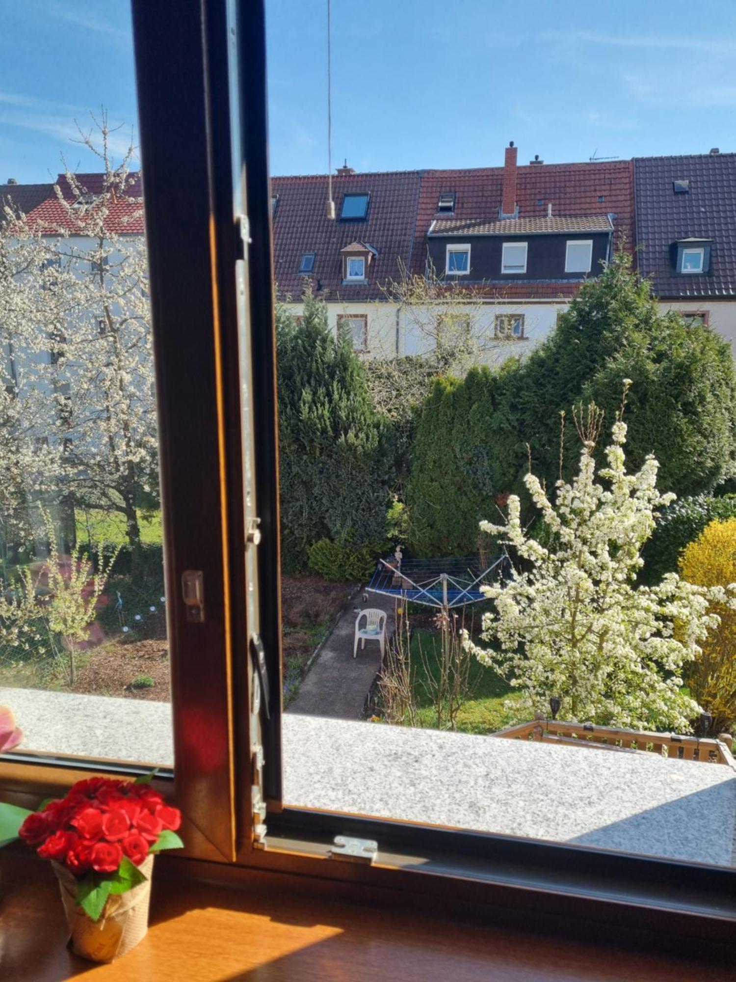 Pension Parga Kaiserslautern Esterno foto